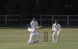 What Fans Should Watch When Following Cricket Odds